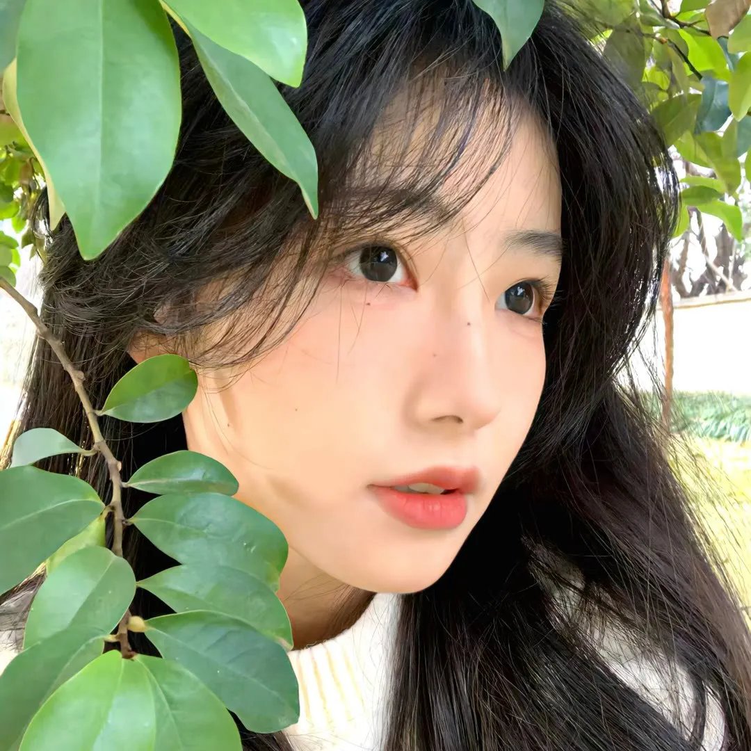 光荣之丘